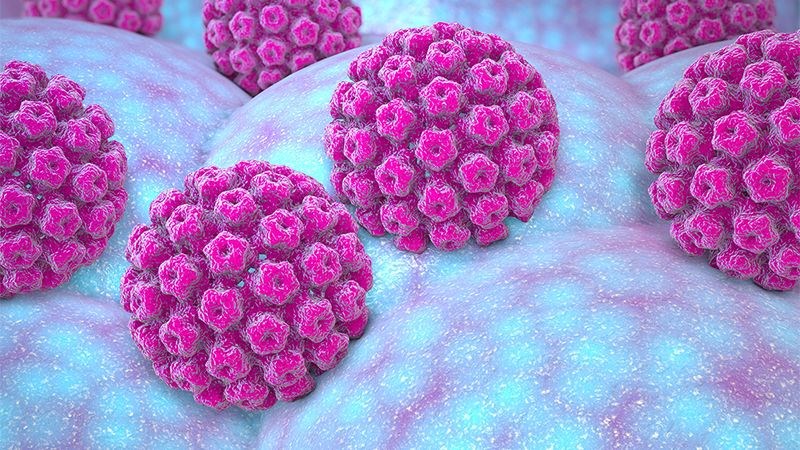 Hầu hết các trường hợp ung thư dương vật là do vi-rút HPV gây ra