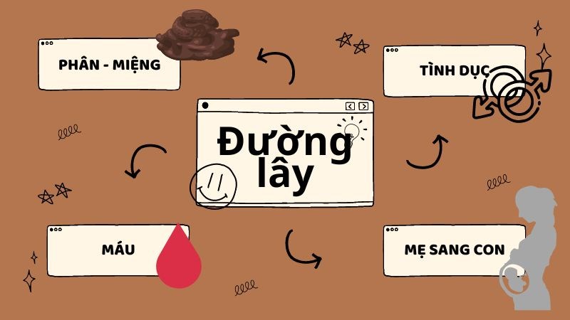 Các đường lây truyền viêm gan virus