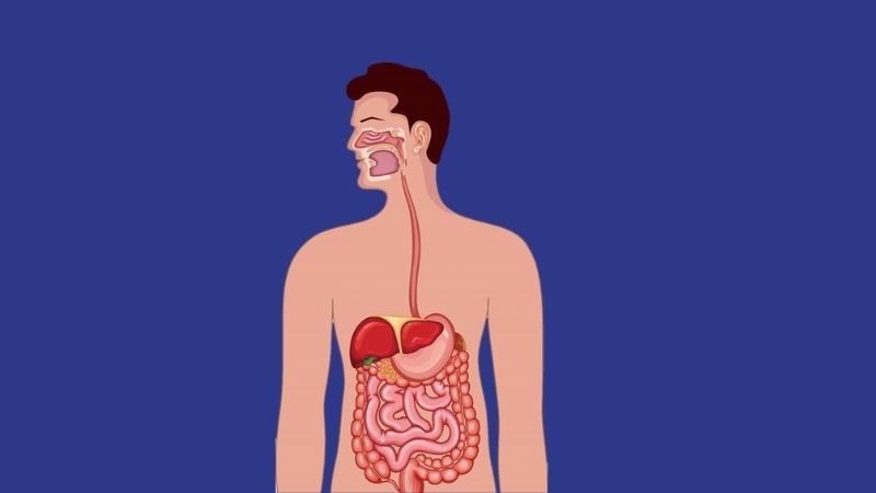 Các bệnh ở hệ tiêu hóa có thể gây nên triệu chứng đau ngực