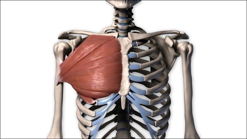 Tổn thương cơ, xương hoặc dây thần kinh ngực có thể gây đau ngực