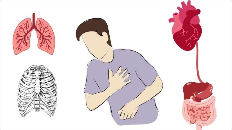 Triệu chứng đau ngực có thể gặp ở người mắc bệnh liên quan đến cơ quan trên