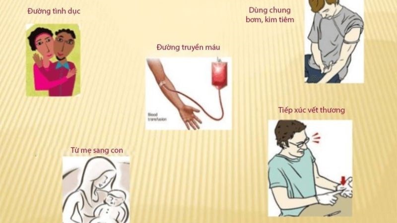Các cơ chế lây bệnh viêm gan C Các cơ chế lây bệnh viêm gan C