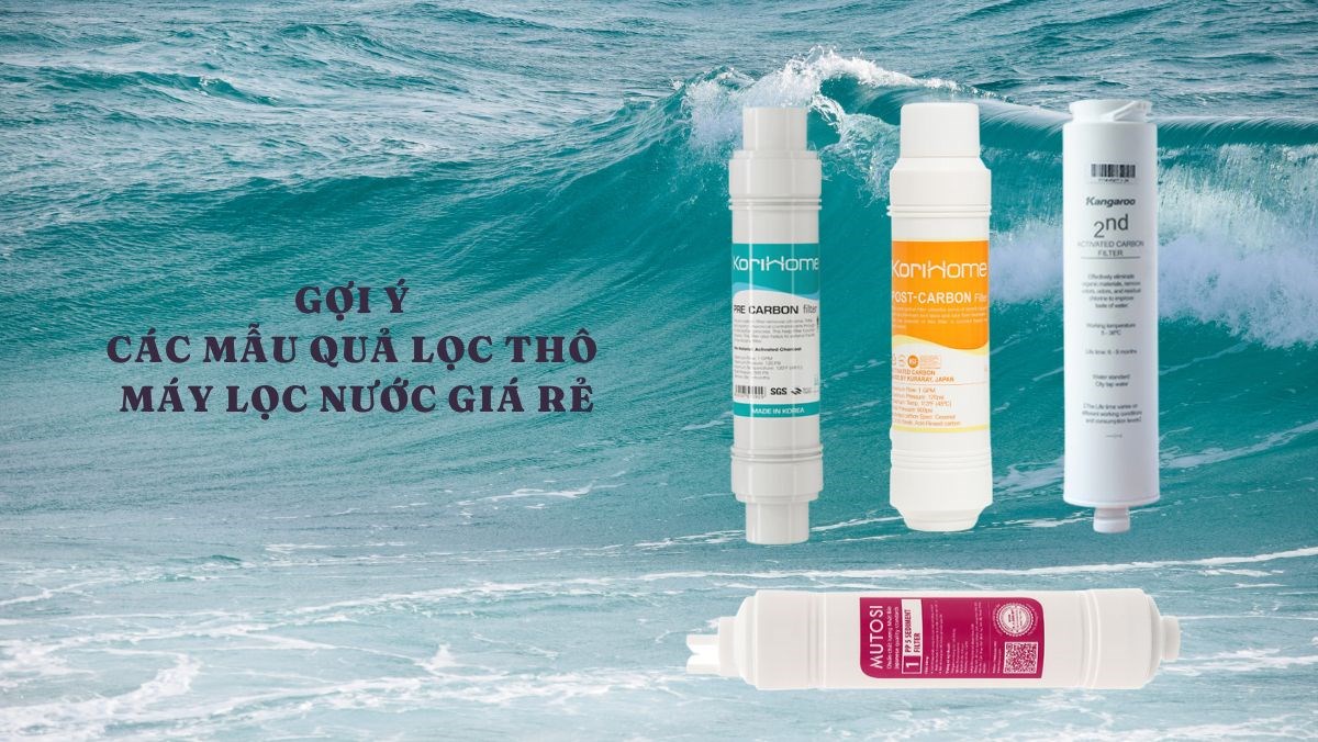 Các mẫu quả lọc thô máy lọc nước