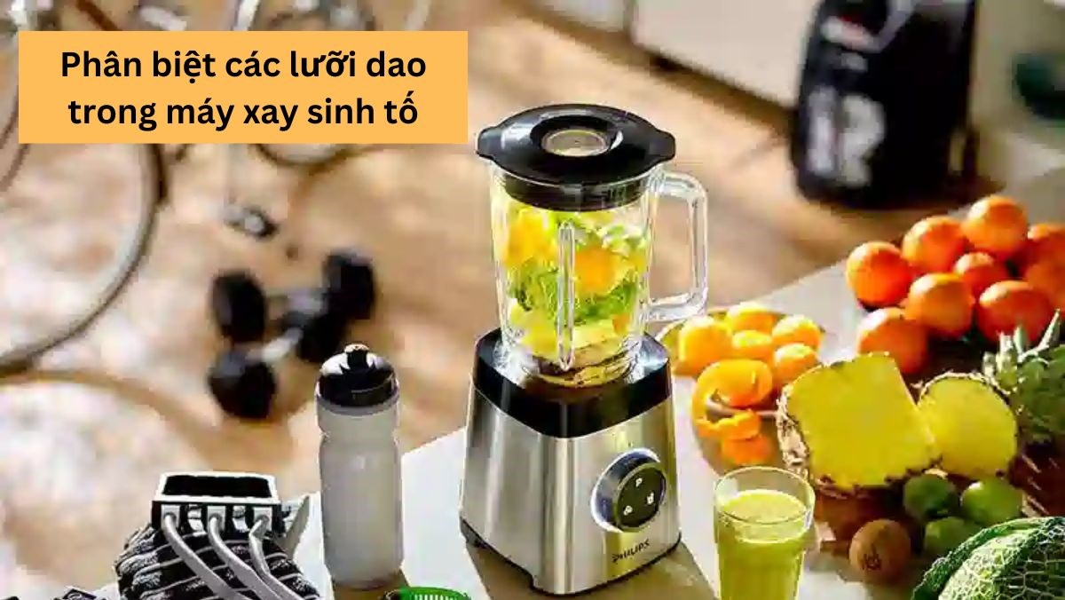 Lưỡi dao máy xay sinh tố