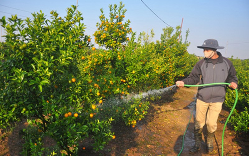 Tưới c&acirc;y đ&uacute;ng c&aacute;ch