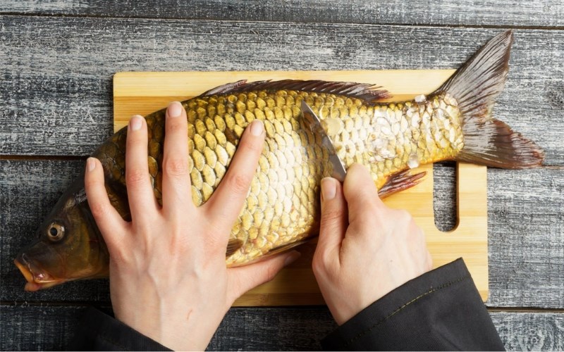 Tại sao c&aacute; ch&eacute;p luộc bị tanh