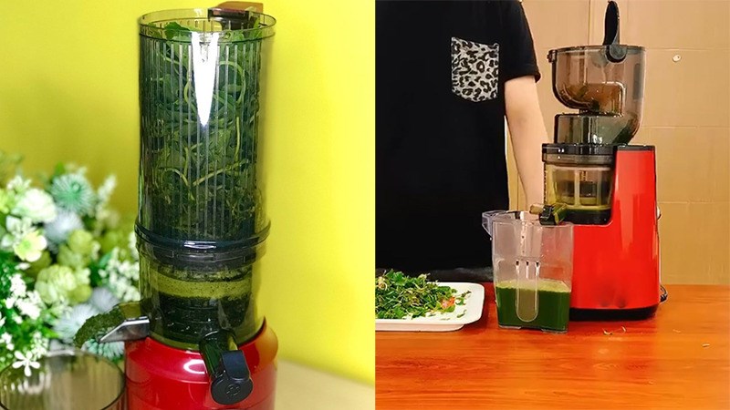 Cách ép rau má bằng máy ép