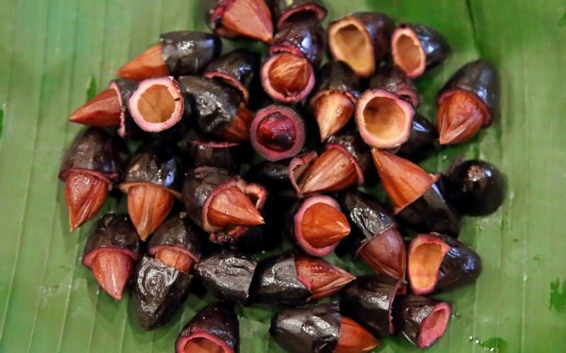 C&aacute;ch bảo quản quả tr&aacute;m đen tươi l&acirc;u