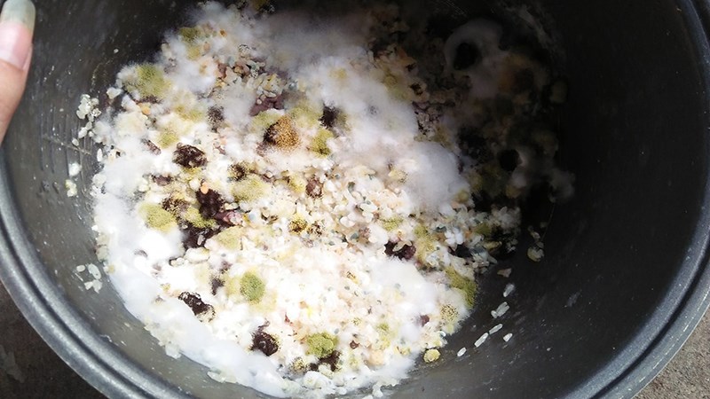 Nguy&ecirc;n nh&acirc;n khiến nồi cơm bị mốc 