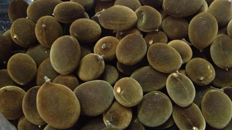 Tr&aacute;i say l&agrave; tr&aacute;i g&igrave;? 