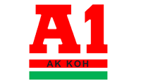 a1