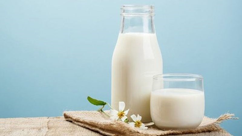 Biện pháp phòng ngừa bệnh Brucella như tiêm phòng cho động vật, sử dụng thực phẩm an toàn và hạn chế tiếp xúc với động vật bị nhiễm bệnh