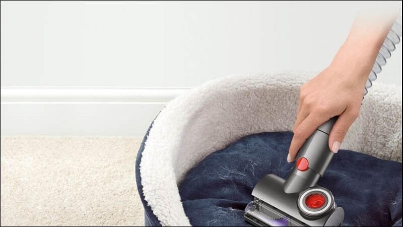 Vệ sinh giường ngủ chó mèo để hạn chế gây bệnh