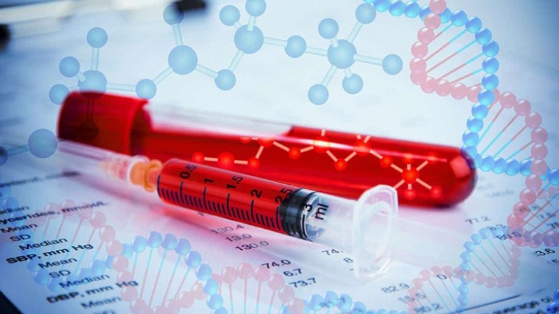 Xét nghiệm máu di truyền để tìm gen dystrophin và chẩn đoán loạn dưỡng cơ