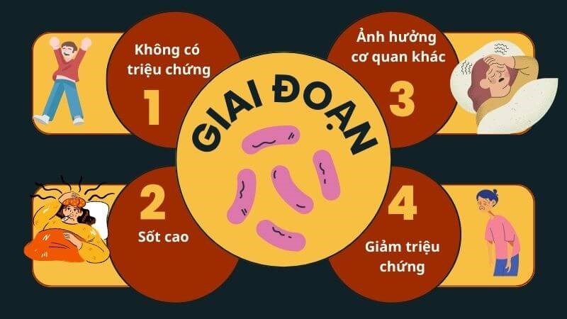 Bệnh thương hàn trải qua 4 giai đoạn