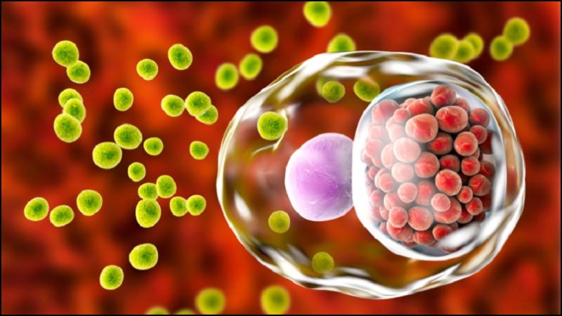 Chlamydia và trichomonas thường gây ra các bệnh lý lây qua đường tình dục Chlamydia, trichomonas là các tác nhân gây ra các bệnh lý lây qua đường tình dục