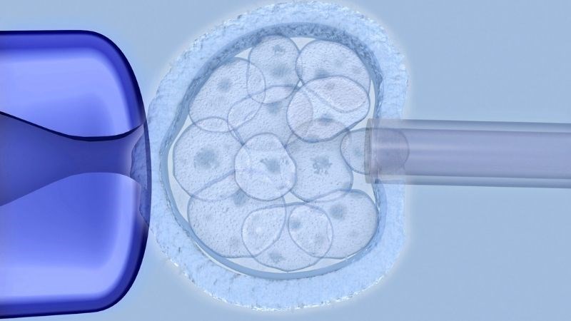 Nhiều người tìm đến các kĩ thuật hỗ trợ sinh sản như liệu pháp cứu cánh khi vô sinh