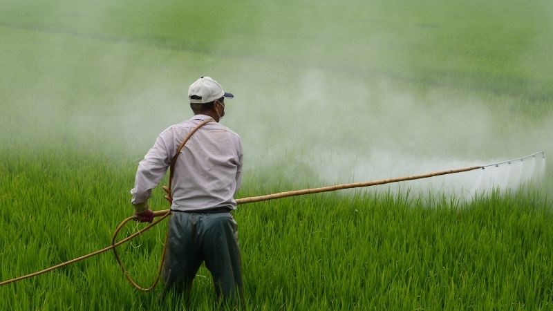 Tiếp xúc với thuốc trừ sâu lâu dài có thể khiến số lượng tinh trùng bị suy giảm