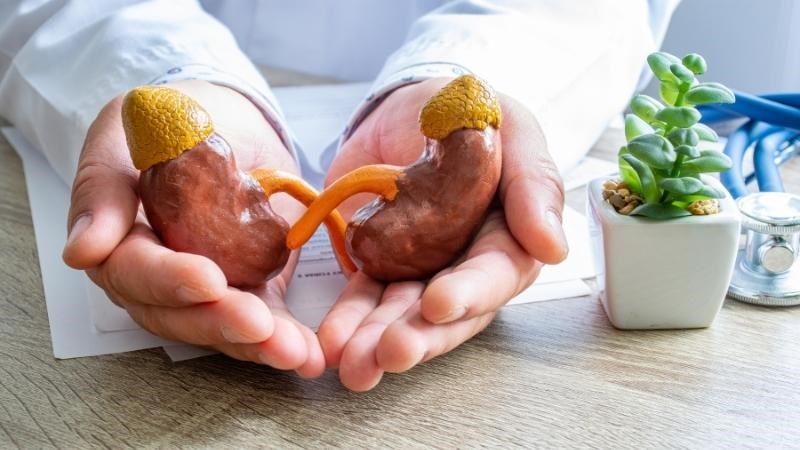 Sỏi tiền liệt tuyến có thể gây suy giảm chức năng thận Sỏi tiền liệt tuyến có thể gây suy giảm chức năng thận