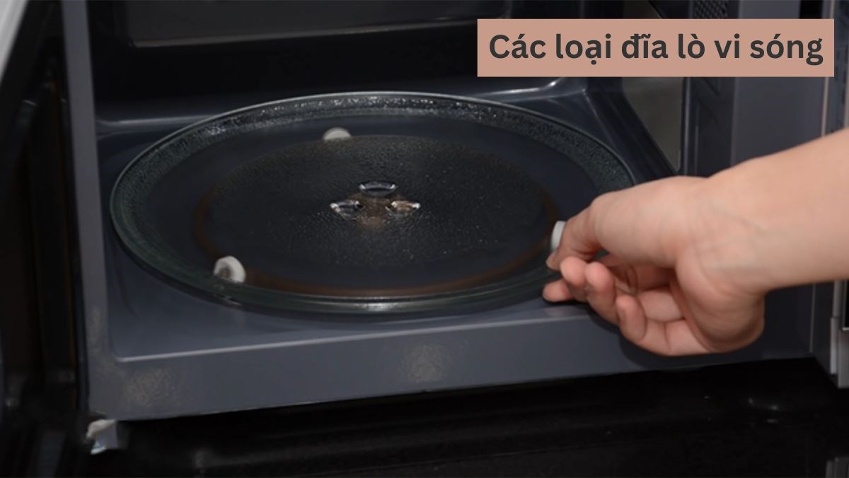 Các loại đĩa lò vi sóng