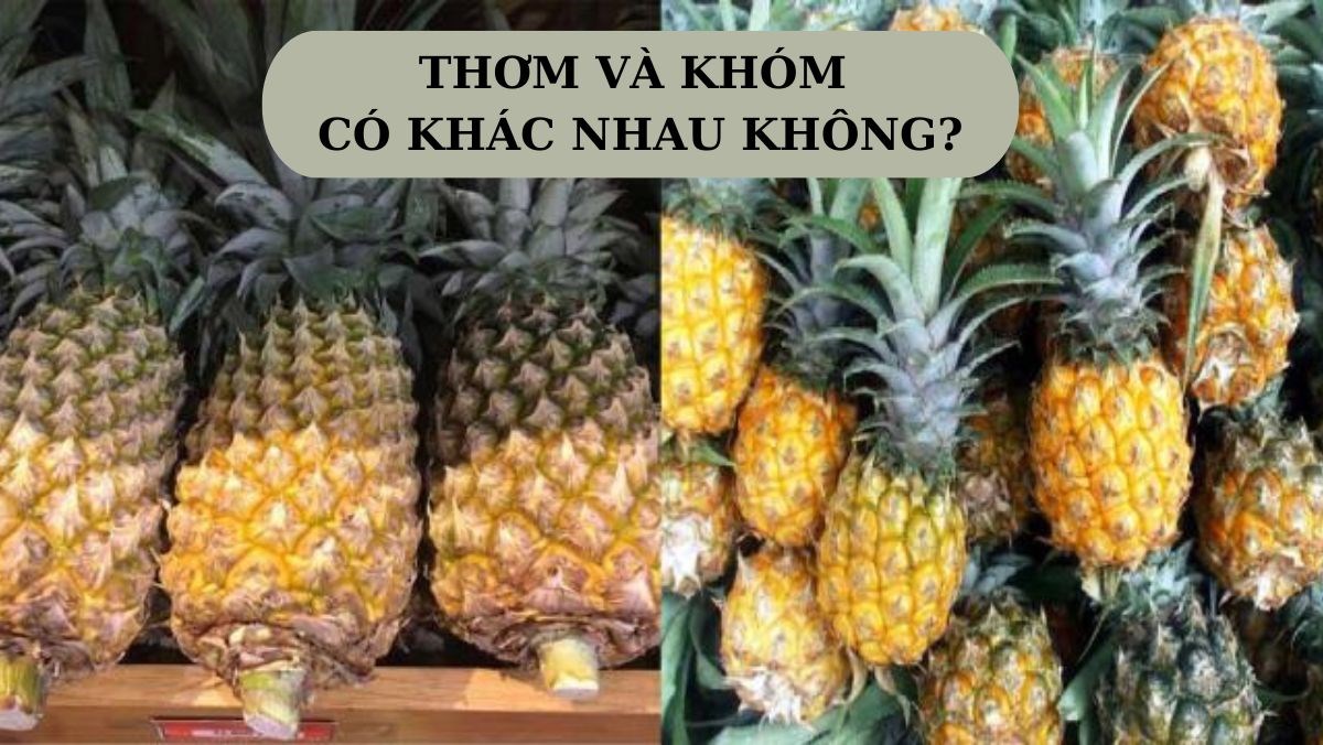 6. Những lưu ý khi sử dụng dứa/thơm