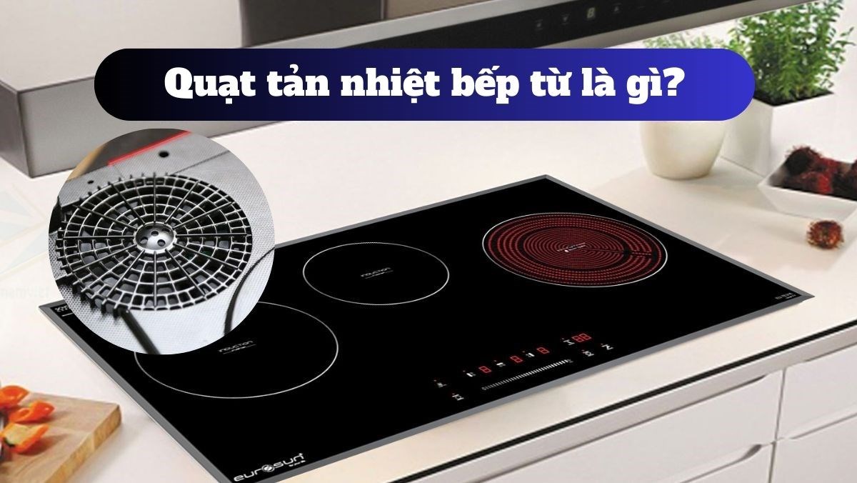 Quạt tản nhiệt bếp từ là gì? Có những loại nào?