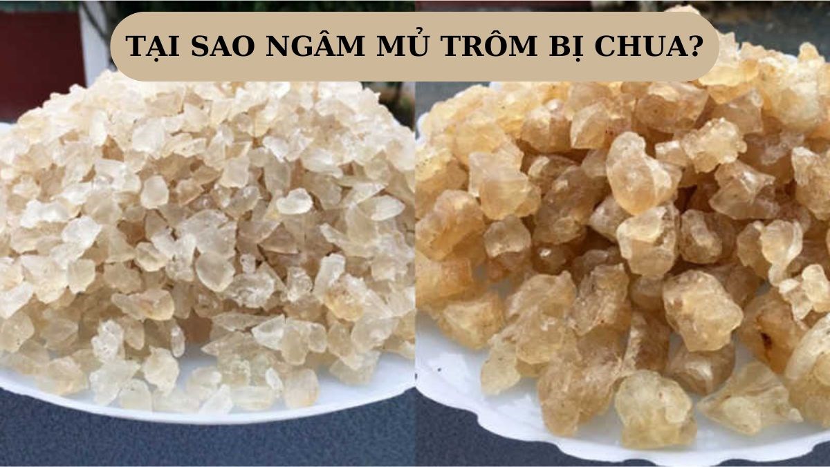 Tại sao ngâm mủ trôm bị chua? Nguyên nhân, cách khắc phục