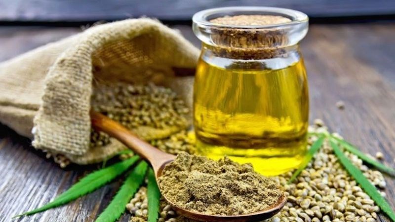 Dầu c&acirc;y rum c&oacute; tốt kh&ocirc;ng?