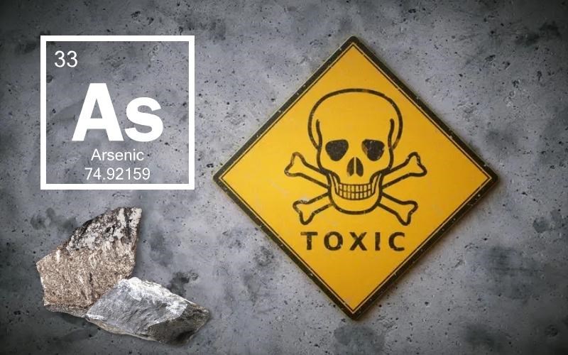 Asen l&agrave; g&igrave;?