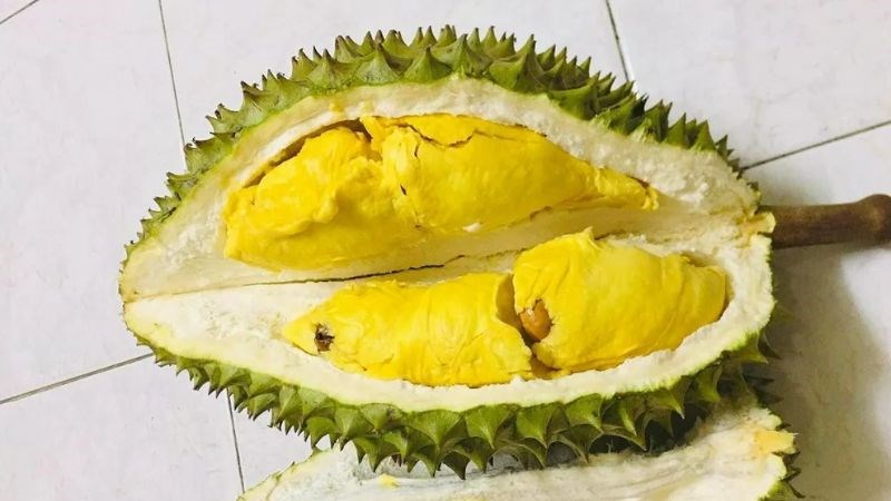 Tại sao sầu ri&ecirc;ng bị sượng?