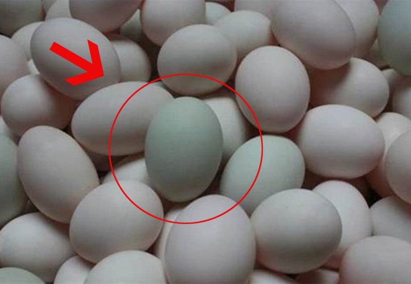Trứng vịt c&oacute; vỏ trứng m&agrave;u xanh