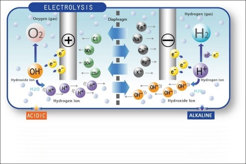 Nguy&ecirc;n l&yacute; hoạt động của c&aacute;c tấm điện cực?
