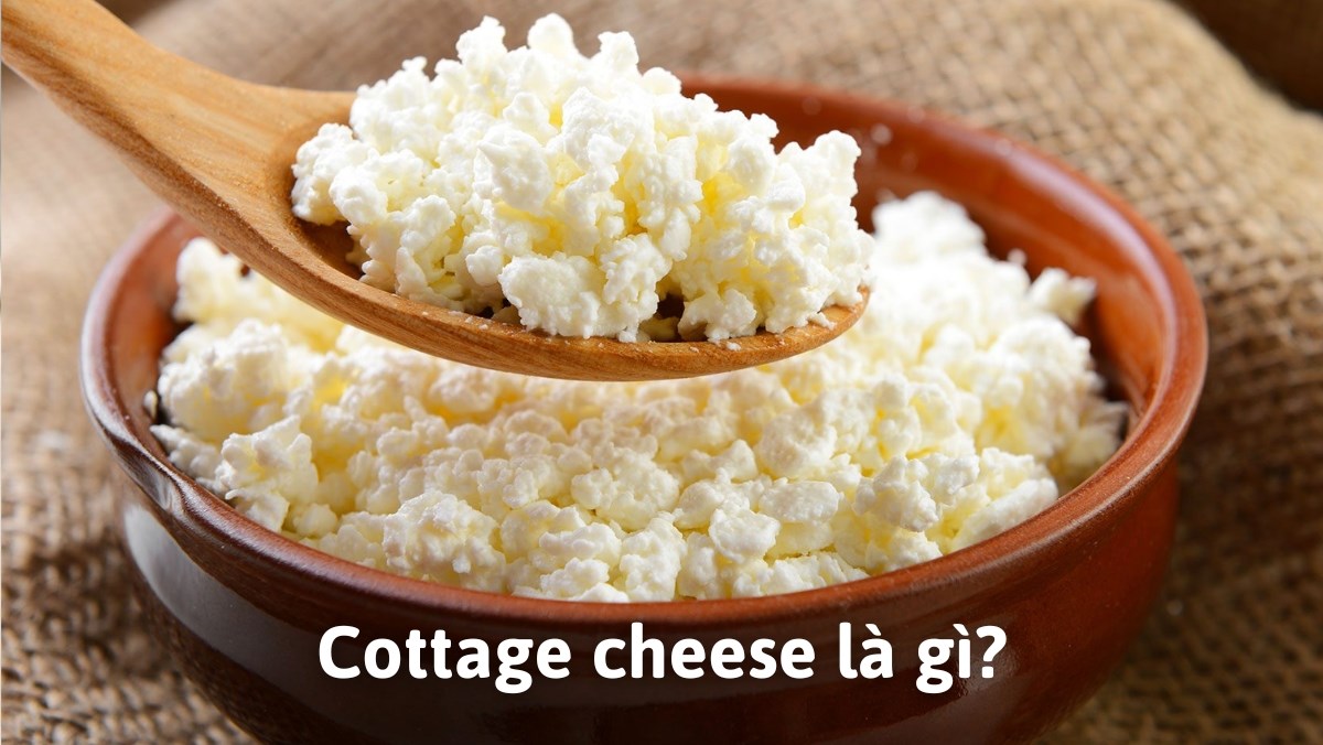 cottage cheese là gì