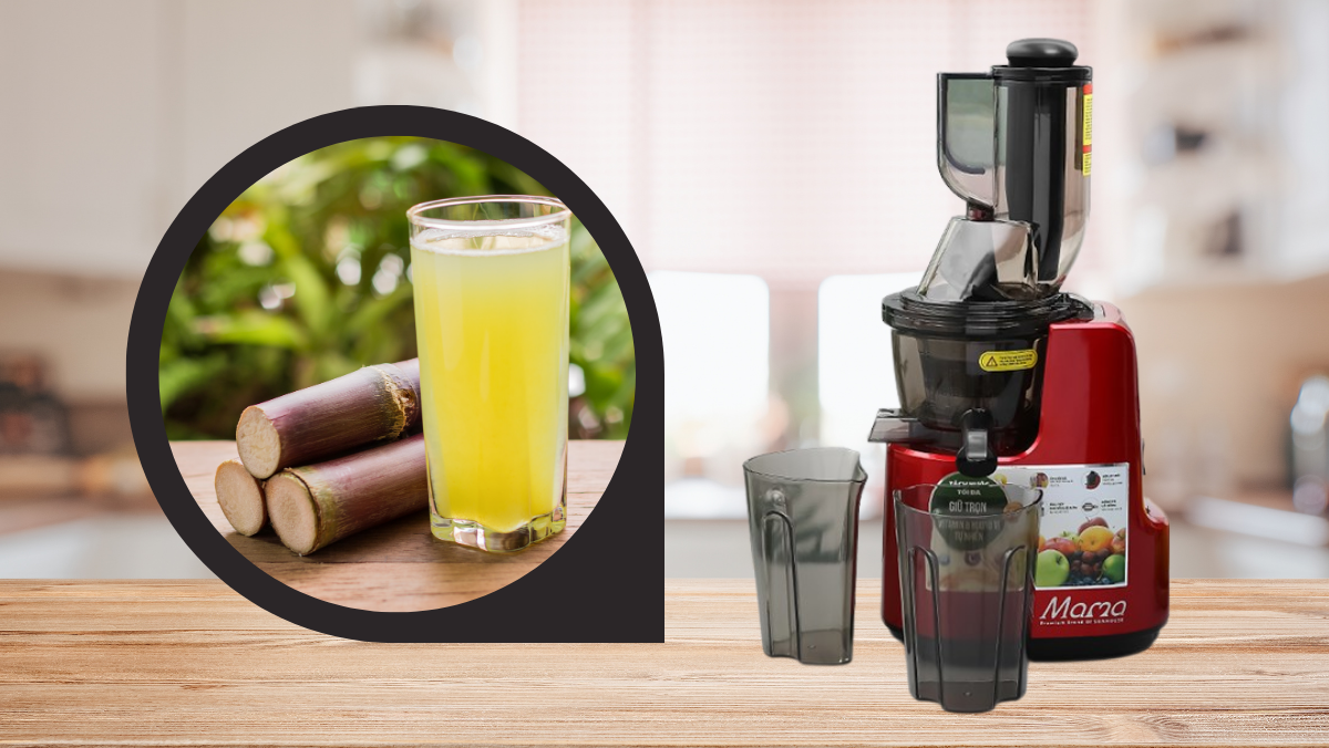 Máy ép chậm có ép được mía? Mẹo sử dụng máy ép chậm đúng cách