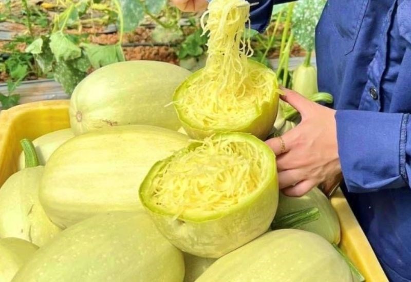 Chọn mua v&agrave; bảo quản b&iacute; sợi m&igrave;