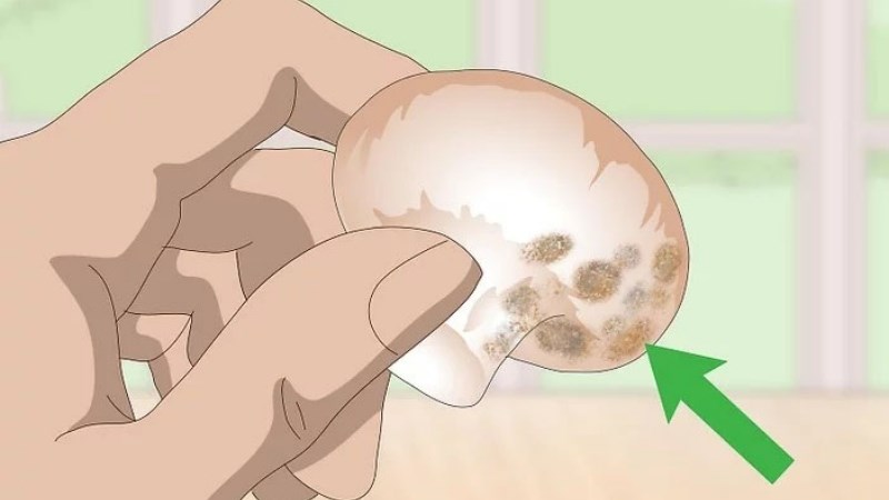 Nấm bị mốc trắng là bị gì? Có ăn được không?