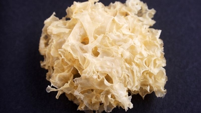 Nấm tuyết l&agrave; g&igrave;?