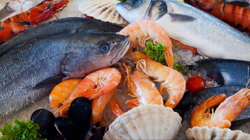 Thủy sản l&agrave; g&igrave;?