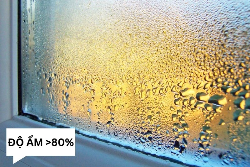 Do độ ẩm trong kh&ocirc;ng kh&iacute; xung quanh gian bếp