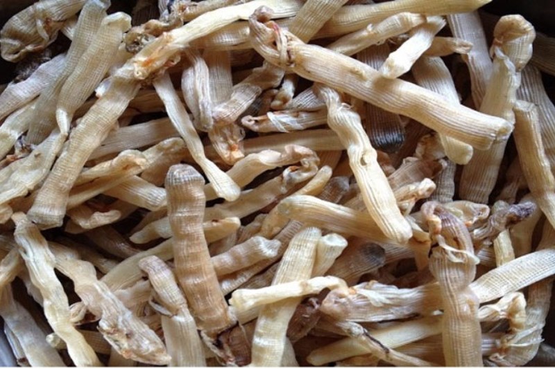 Sá sùng có tác dụng gì?