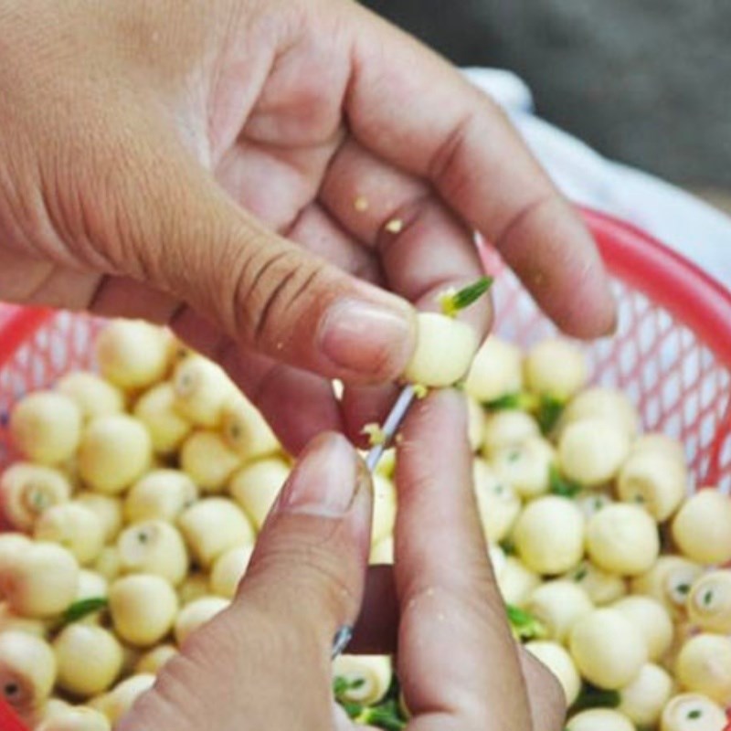 Bước 1 Sơ chế nguyên liệu Bánh hạt sen chiên giòn (Công thức được chia sẻ bởi Tiktok Bếp chay XANH)