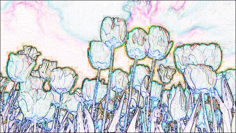 Cách làm tranh màu nước bằng Photoshop từ ảnh thật