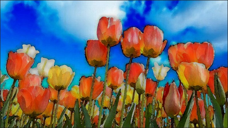 Cách làm tranh màu nước bằng Photoshop từ ảnh thật