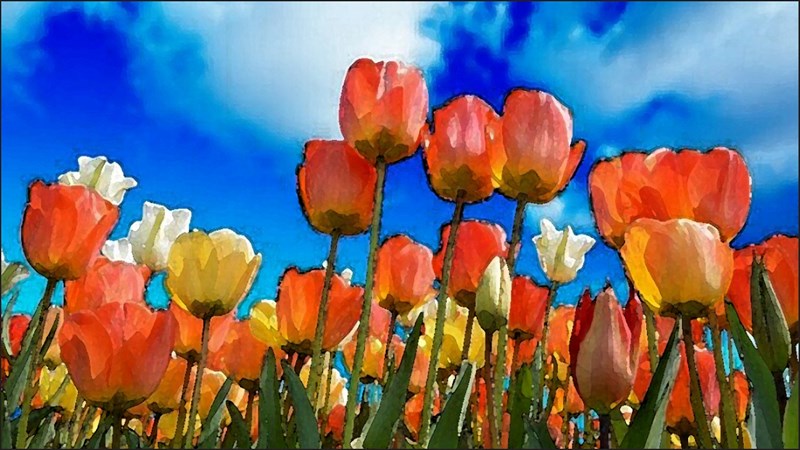 Cách làm tranh màu nước bằng Photoshop từ ảnh thật