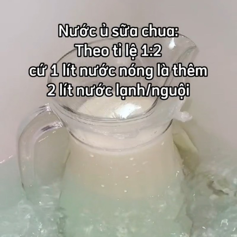 Bước 2 Ủ sữa chua Sữa chua cốm xanh (Công thức được chia sẻ từ Tiktok Vào bếp cùng Điện máy XANH)