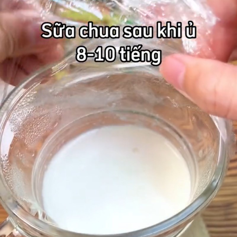 Bước 2 Ủ sữa chua Sữa chua cốm xanh (Công thức được chia sẻ từ Tiktok Vào bếp cùng Điện máy XANH)
