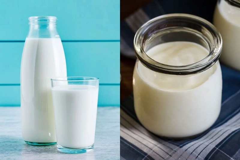 Nguyên liệu món ăn hướng dẫn cách làm sữa chua bằng nồi nấu chậm