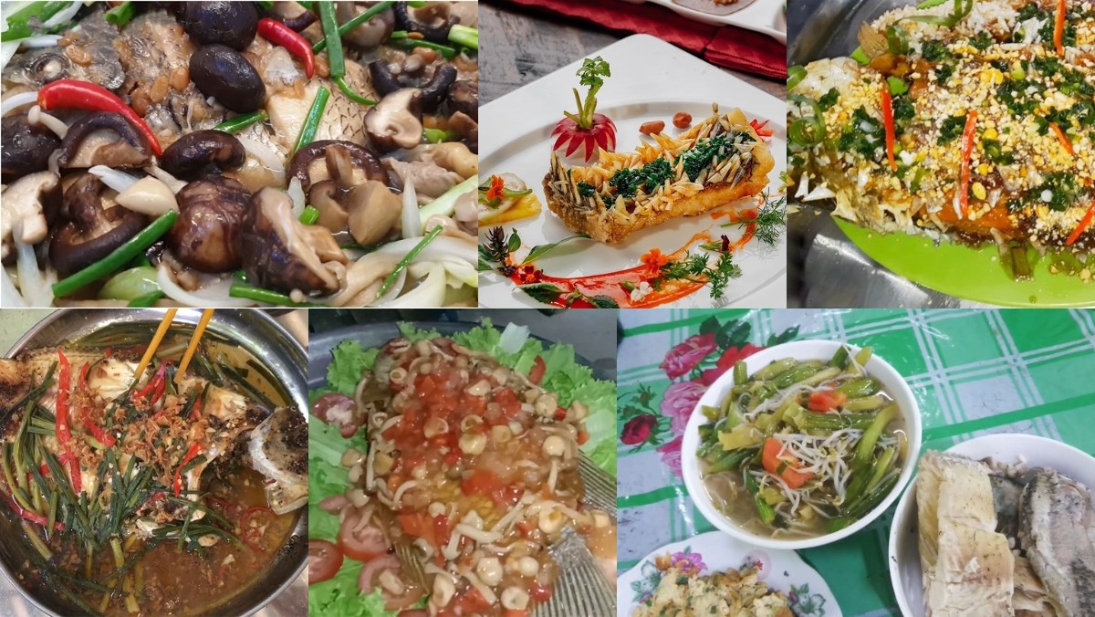 Cá tai tượng làm món gì ngon?