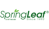 springleaf