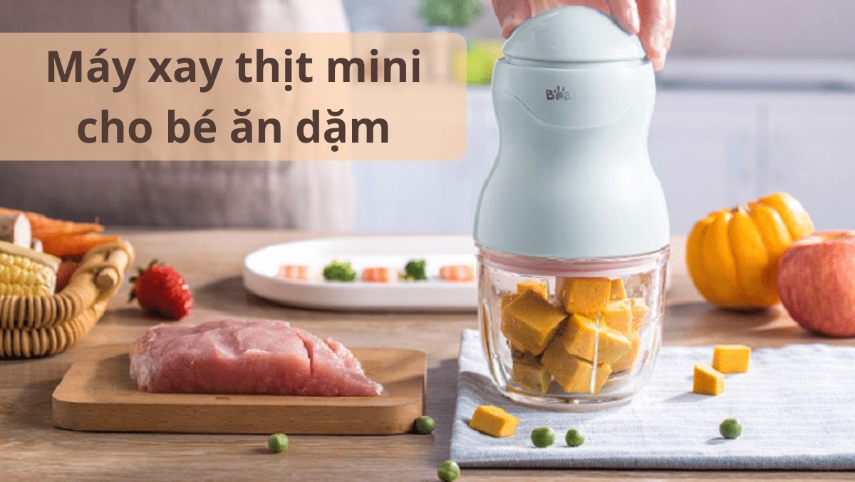 Top 5 máy xay thịt mini cho bé ăn dặm tốt và chất lượng mà mẹ nên mua